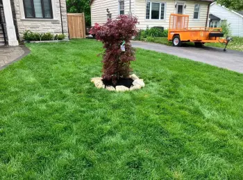 Landscape Contractors in Markham